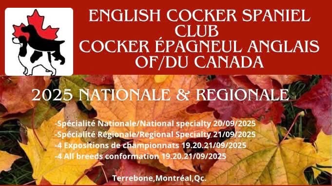 2025 National and Regional