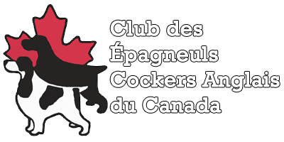 Club Des Épagneuls Cockers Anglais du Canada