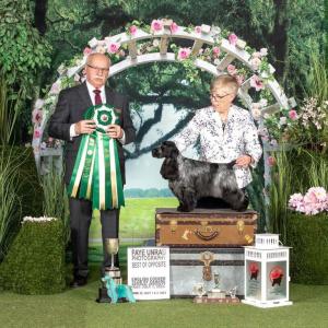 2023 Bos Parti Bitch