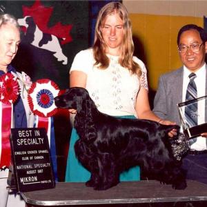 BISS CH. WITTERSHAM’S DEAR ABBY