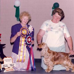 AM/CAN CH. MAYFAIR WYNCREST MARDI GRAS