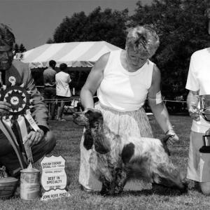 BISS CAN. AM. CH. CARNABY WITCH HAZEL