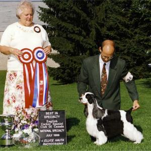 BISS AM/CAN CH. RANZFEL AMBASSADOR