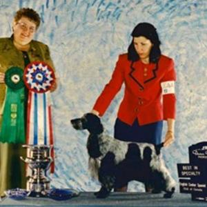 BISS AM CH. WHITFIELD’S CRESCENT MOON ECM WD CGC