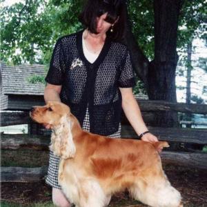 BISS AM/CAN CH. WYNCREST MASTER OF ILLUSION ECM, RN, NAJ